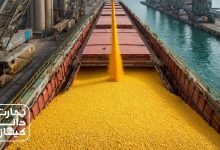تخلیه حجم بالای ذرت دامی از کشتی در بندر؛ نمادی از روند واردات نهاده‌ها و تأثیر عرضه جهانی بر قیمت ذرت و جو در سال 2026.
