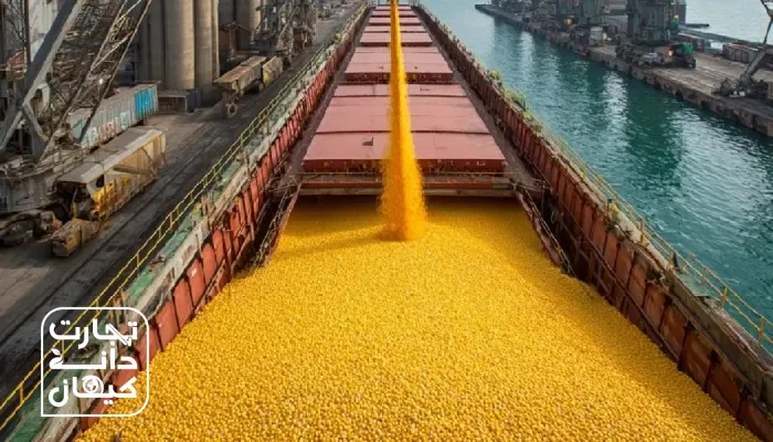 تخلیه حجم بالای ذرت دامی از کشتی در بندر؛ نمادی از روند واردات نهادهها و تأثیر عرضه جهانی بر قیمت ذرت و جو در سال 2026.